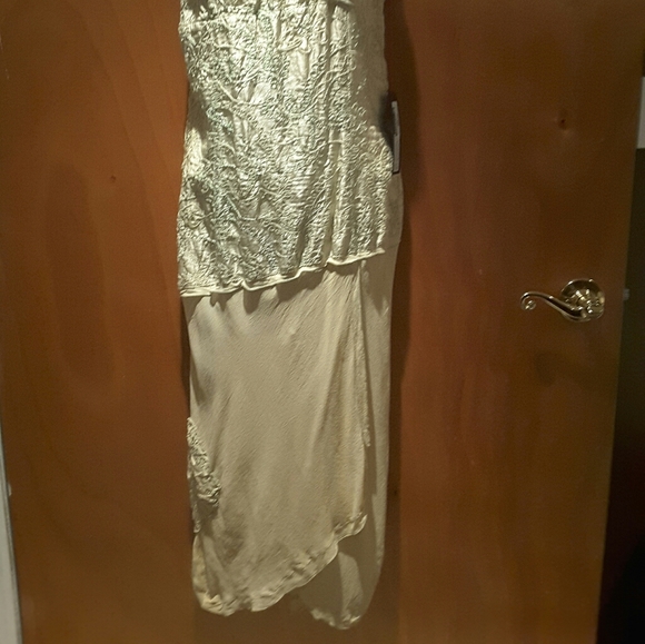 Amarissima Designer Dress - Picture 2 of 6